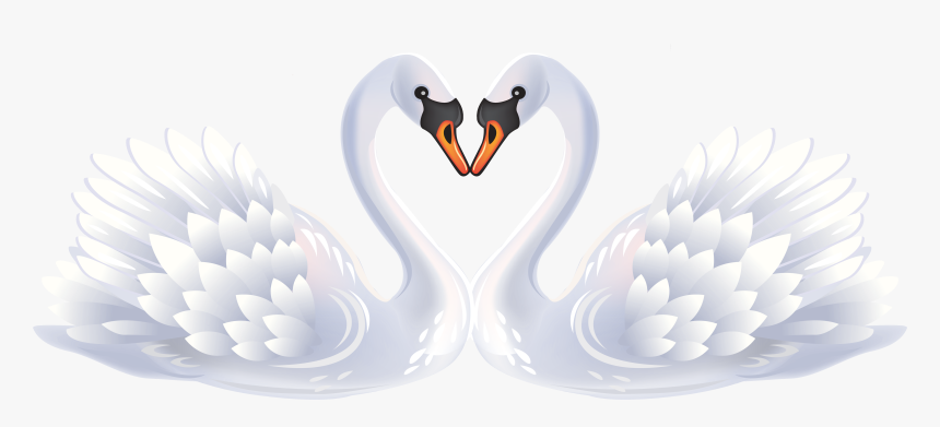 White Duck Png, Transparent Png, Free Download