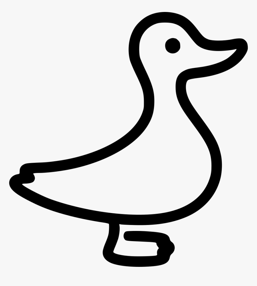 Duck, HD Png Download, Free Download