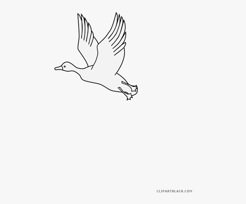 Flying Duck Animal Free, HD Png Download, Free Download