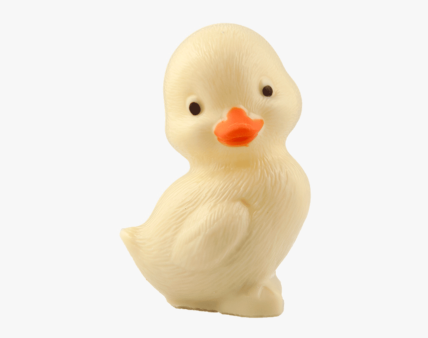 Baby Duck Png, Transparent Png, Free Download