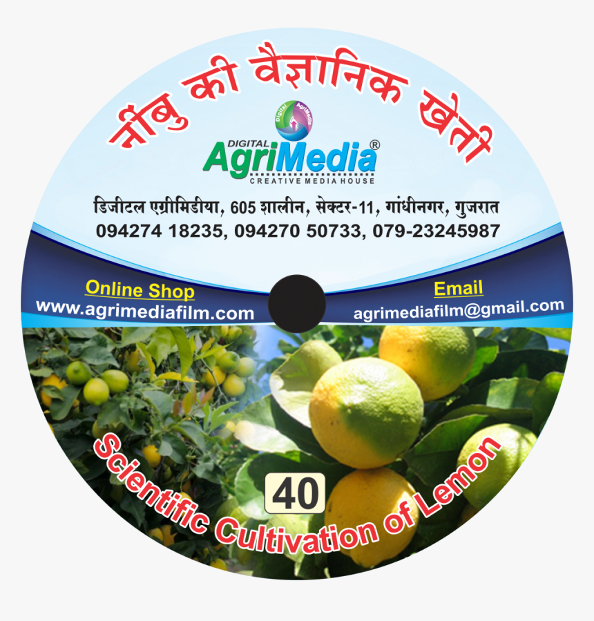 Nimbu Ki Vaiganik Kheti, HD Png Download, Free Download