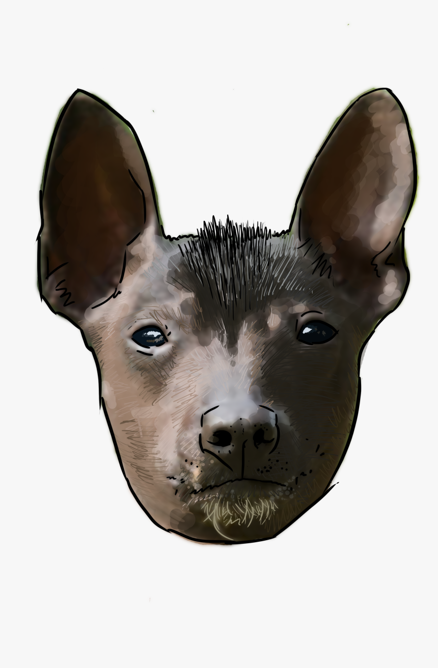 Xolo Dog Png, Transparent Png, Free Download