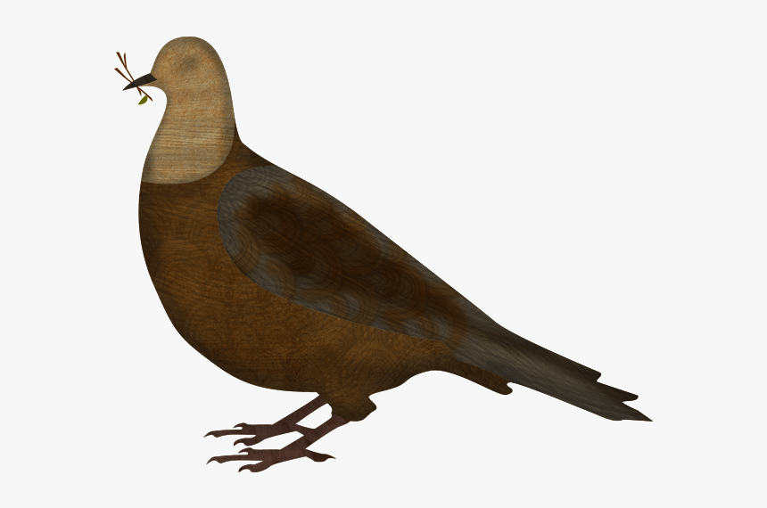 Dove, HD Png Download, Free Download