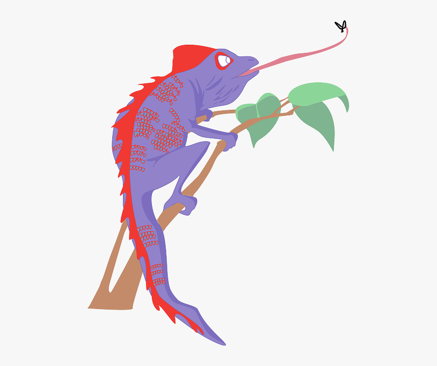 Chameleon Quick Tongue, HD Png Download, Free Download