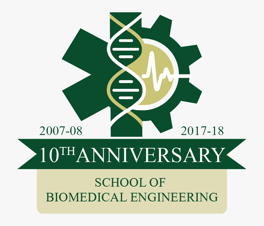 Biomedical Engineering Celebrates 10 Years Of Industry-focused, HD Png Download, Free Download