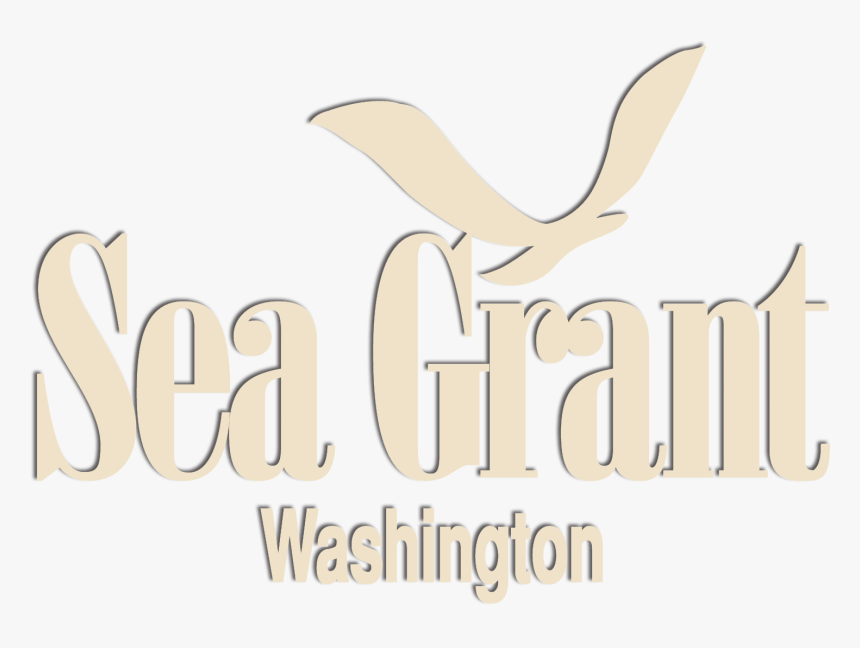 Washington Logo Png, Transparent Png, Free Download