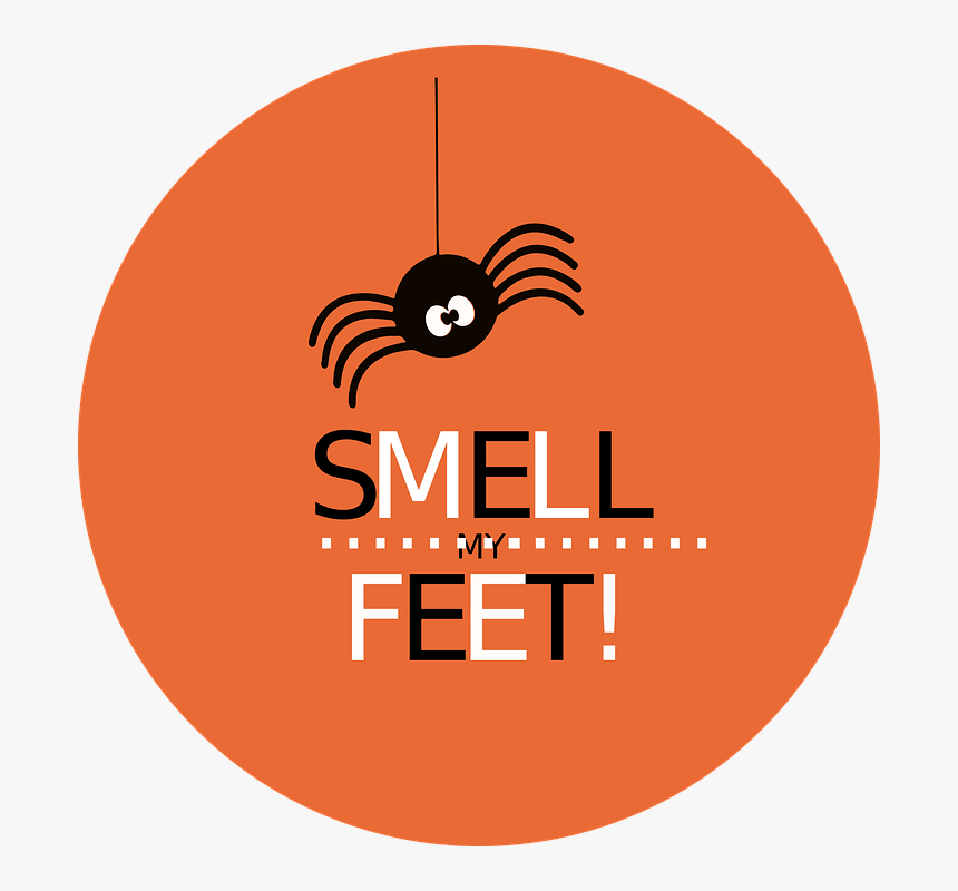 Spider, Halloween, Cute, Smell My Feet, October, Fun, HD Png Download, Free Download