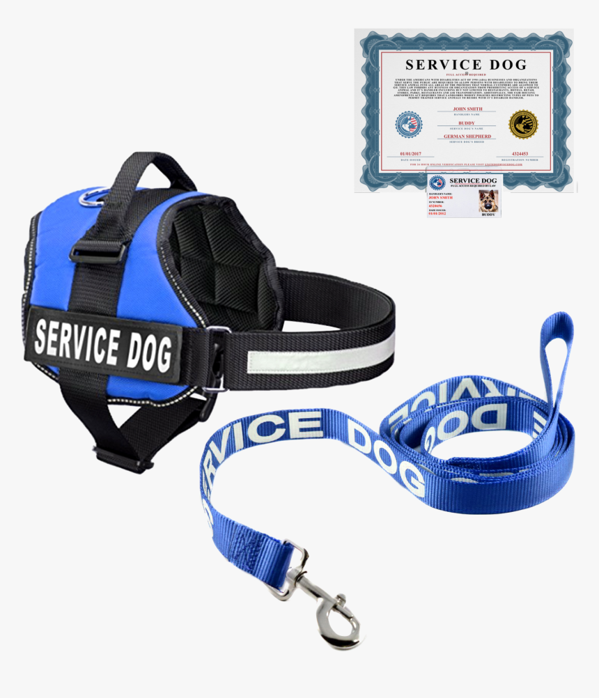 Service Dog Png, Transparent Png, Free Download