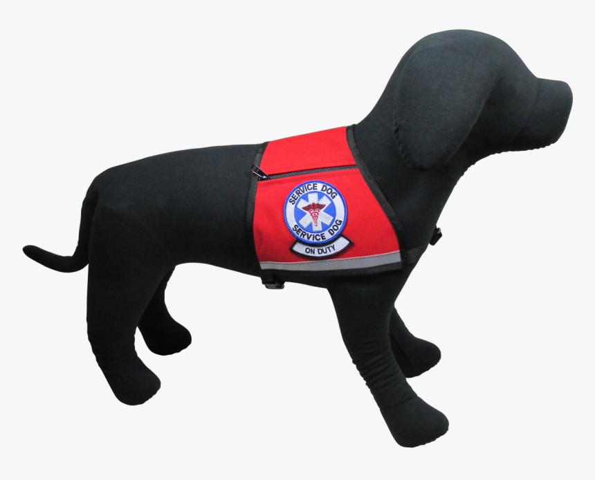 Service Dog, On Duty Reflective Vest, HD Png Download, Free Download