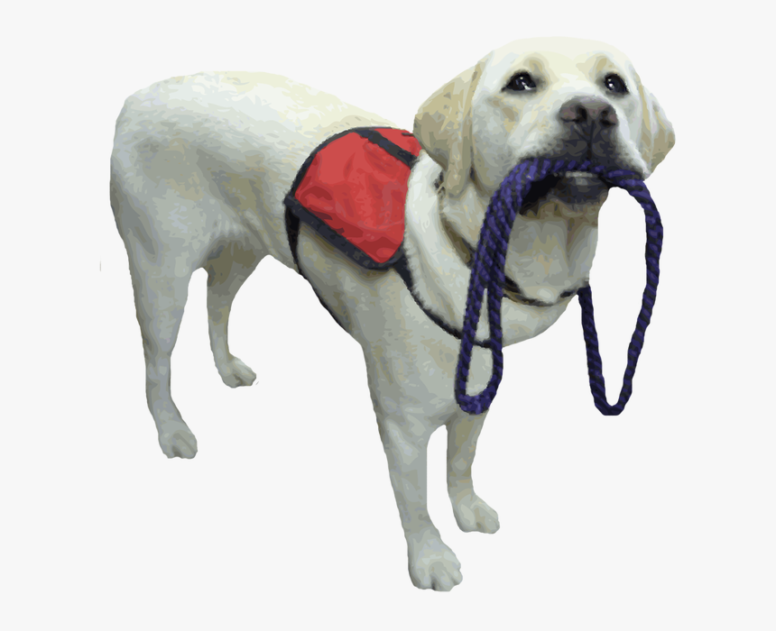 Service Dog Png, Transparent Png, Free Download