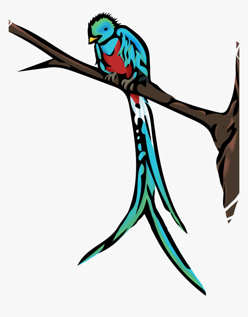 Quetzal Png, Transparent Png, Free Download