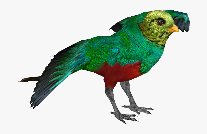 Quetzal Png, Transparent Png, Free Download