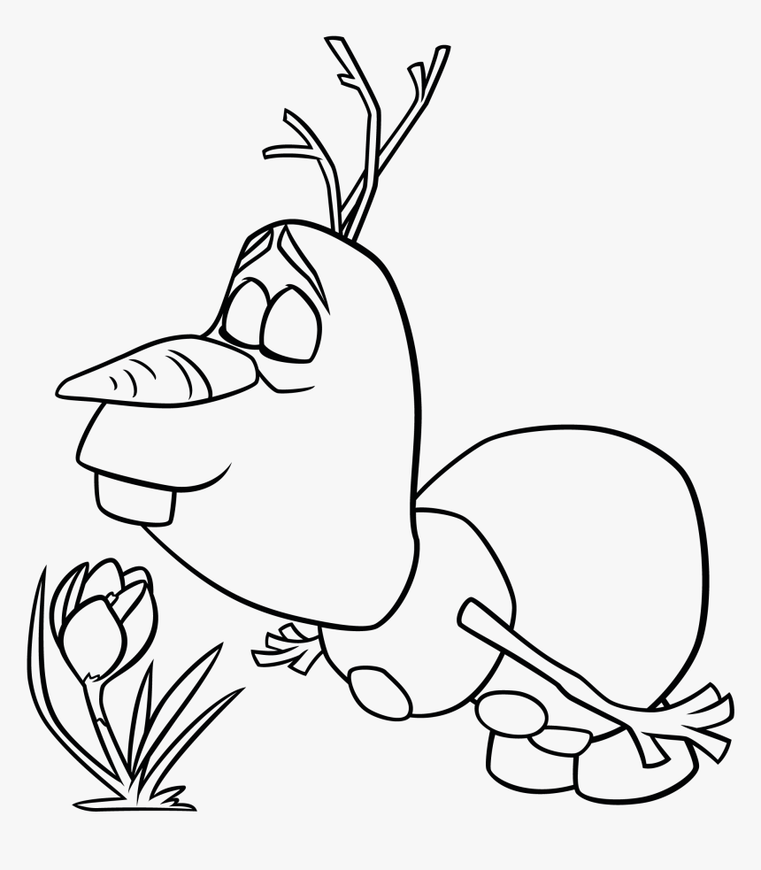 Desenho De Olaf Cheirando Flor Para Colorir Tudodesenhos, HD Png Download, Free Download