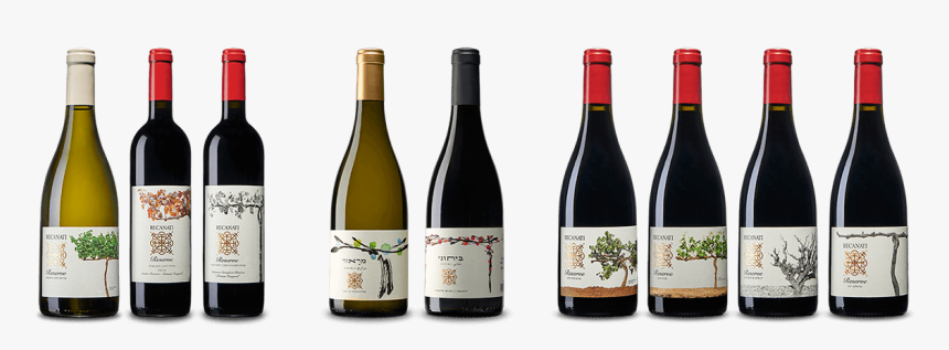 Vineyard Png, Transparent Png, Free Download