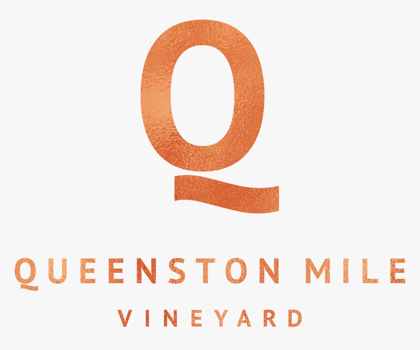 Vineyard Png, Transparent Png, Free Download