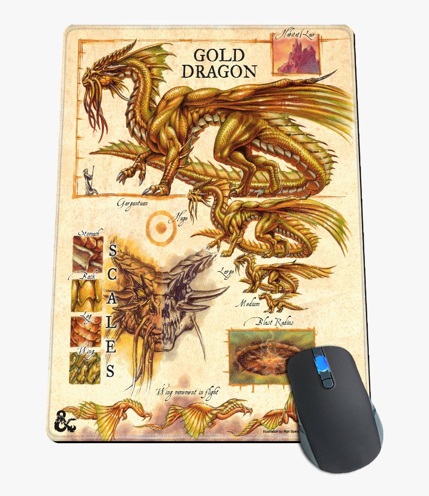 Gold Dragon Png, Transparent Png, Free Download