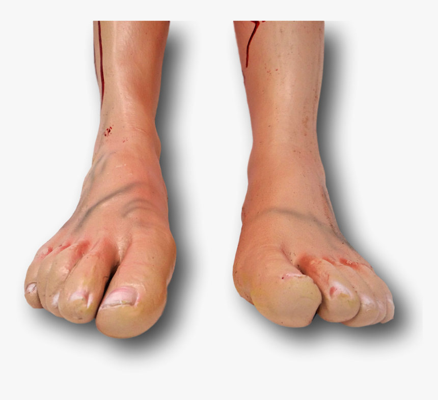 Bloody Severed Fake Latex Arm Arms Leg Legs Foot Feet, HD Png Download, Free Download