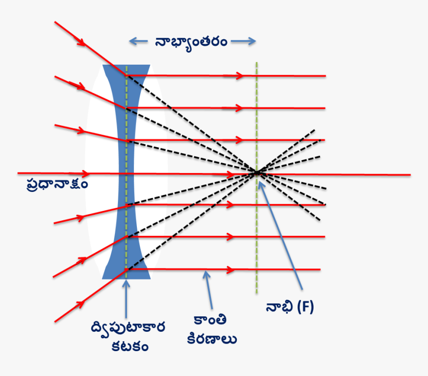 Rays Pass Through Focul Point, HD Png Download, Free Download