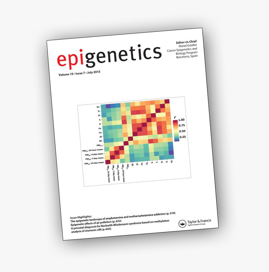 Genes Png, Transparent Png, Free Download