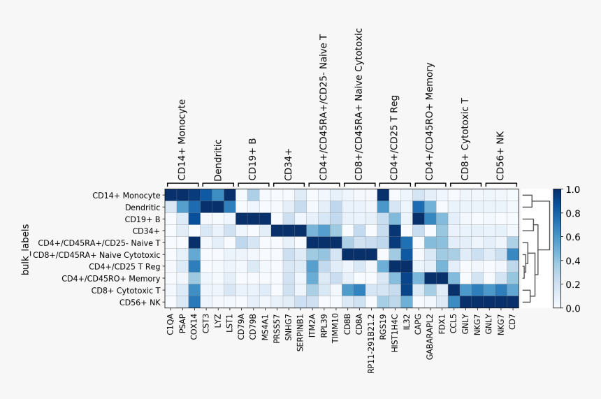 Images/visualizing Marker Genes 55 0, HD Png Download, Free Download