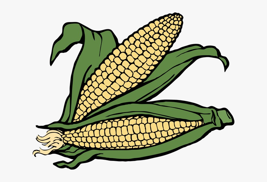 Ear Autumn Two Of Corn Clipart Fall Image And Transparent, HD Png Download, Free Download