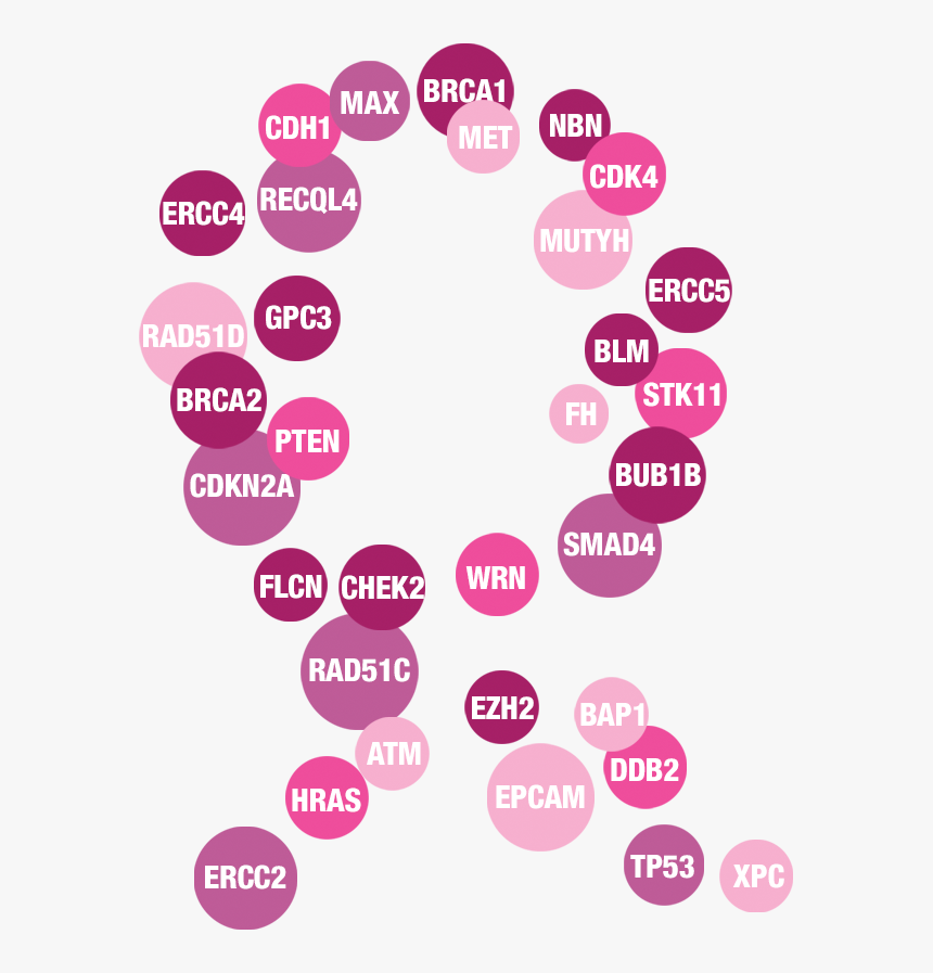 Breast Cancer Genetic Testing, Genes, Genetic Testing,, HD Png Download, Free Download
