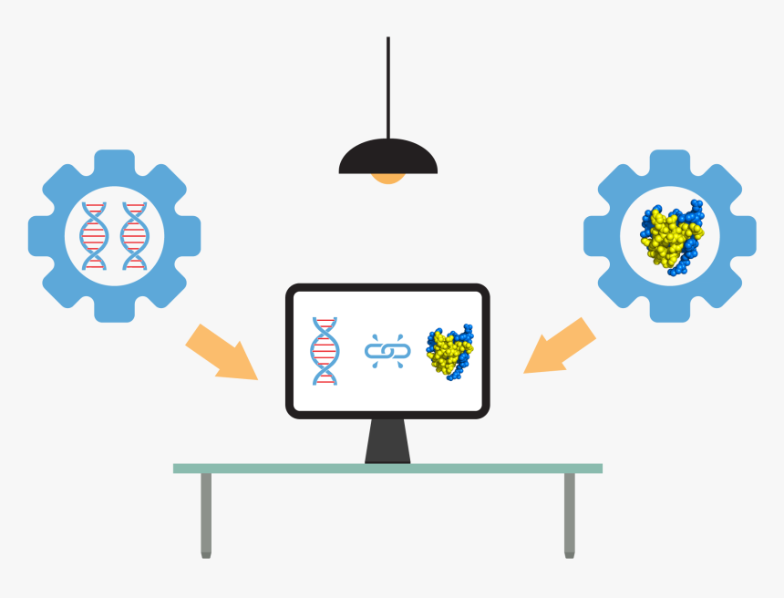 Gene Matching, HD Png Download, Free Download