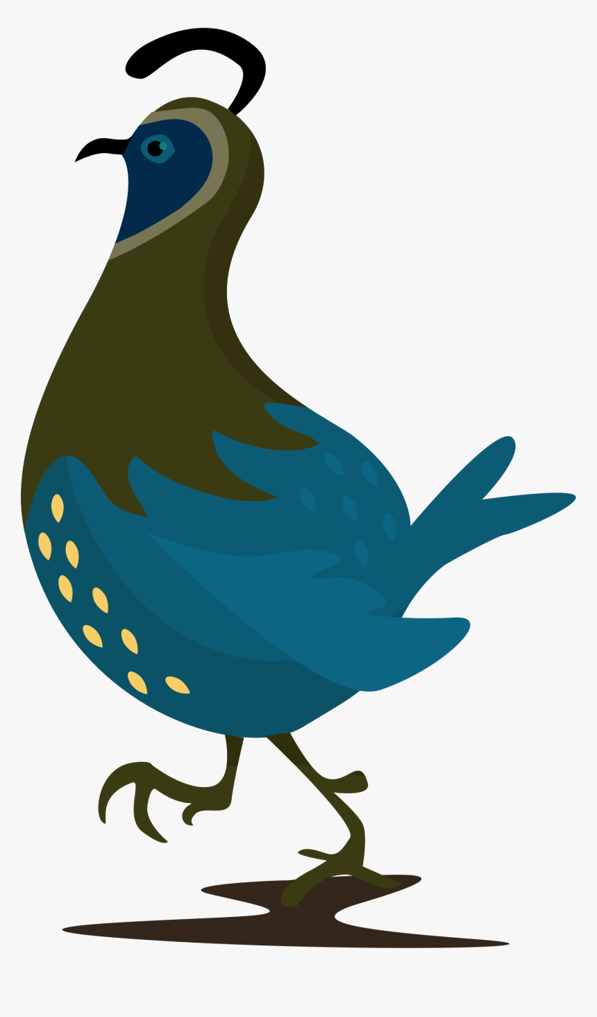 Quail Clipart Quail Family, HD Png Download, Free Download