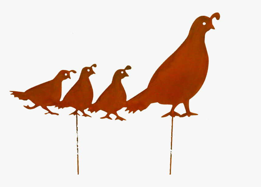 Quail Family-lrg Larger Image, HD Png Download, Free Download