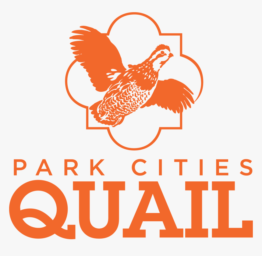 Quail Png, Transparent Png, Free Download