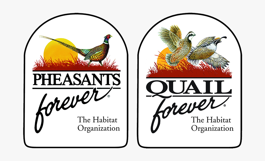 Pheasants Forever Quail Forever , Png Download, Transparent Png, Free Download