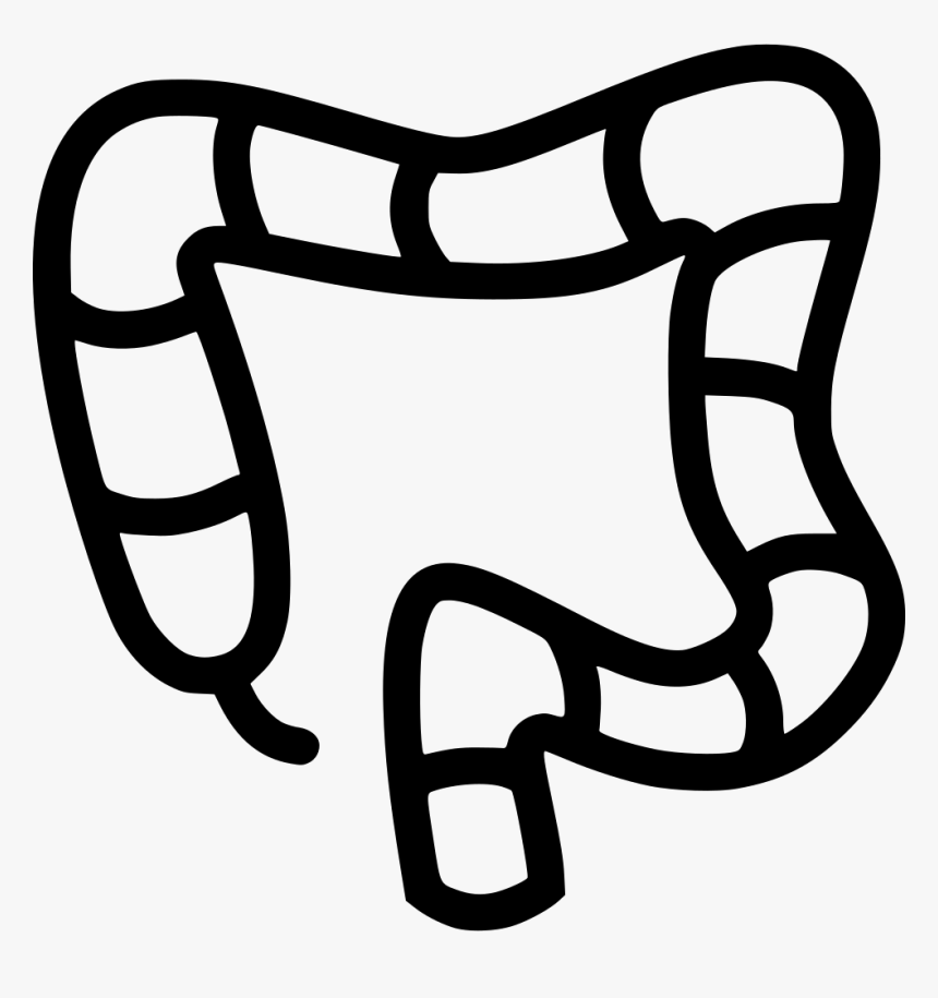 Colon, HD Png Download, Free Download