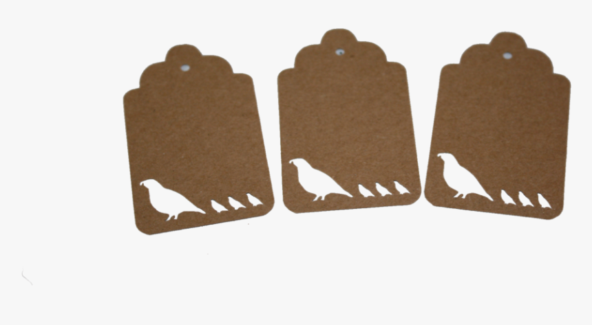 Quail Png, Transparent Png, Free Download