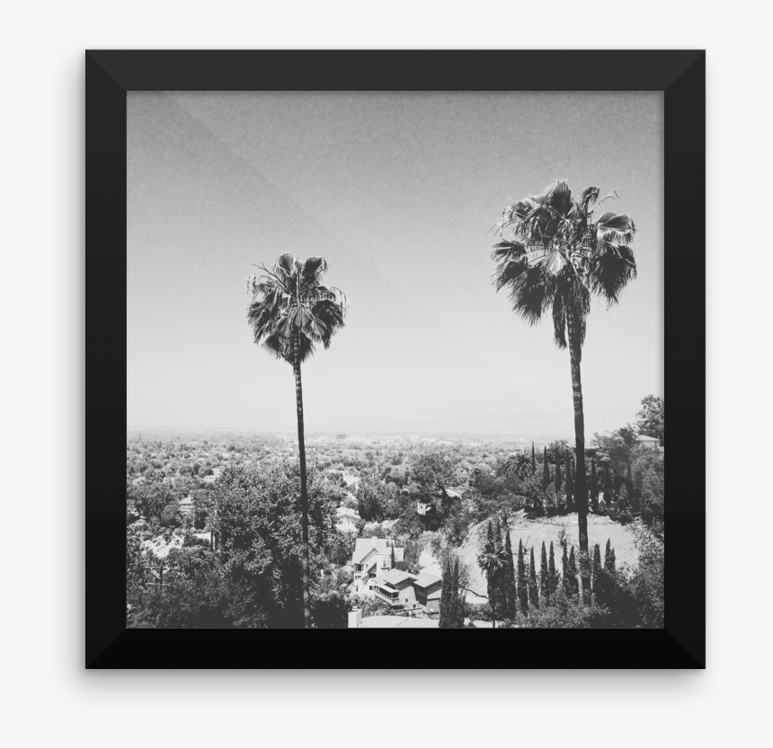 Framed B W Print Of The Iconic Palm Trees Of Hollywood, HD Png Download, Free Download