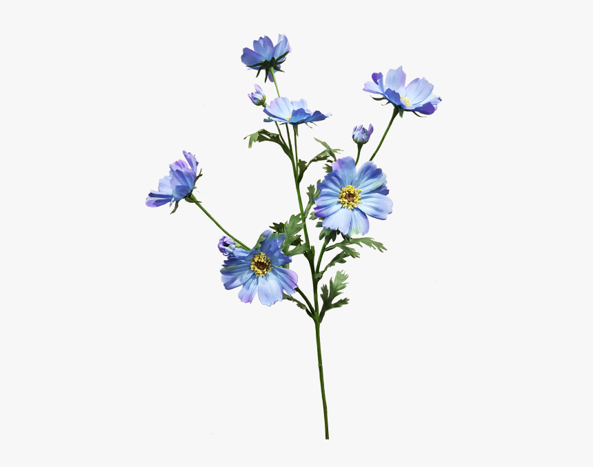 Light Blue Flower Png, Transparent Png, Free Download