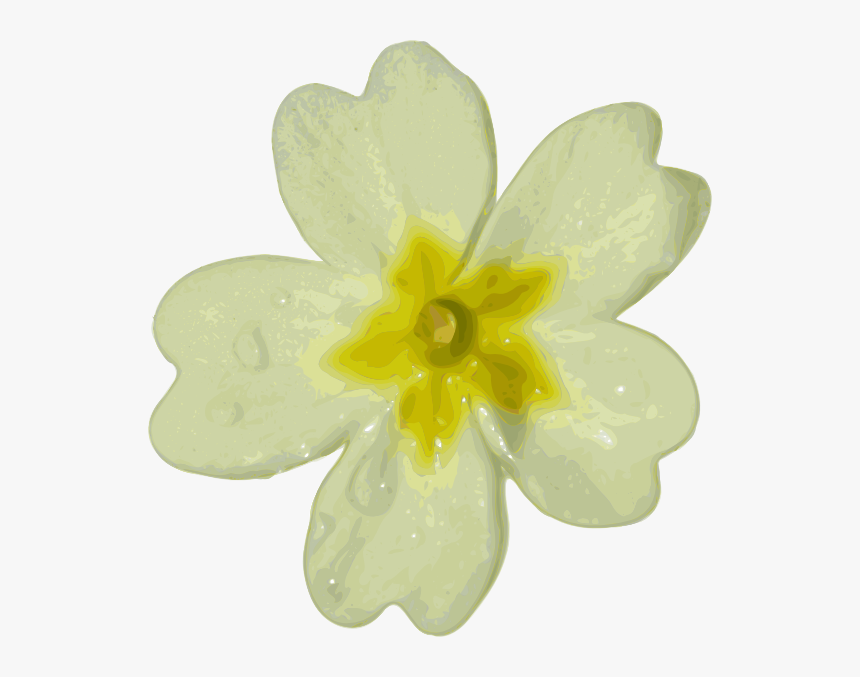 Blurred White Flower Svg Clip Arts, HD Png Download, Free Download