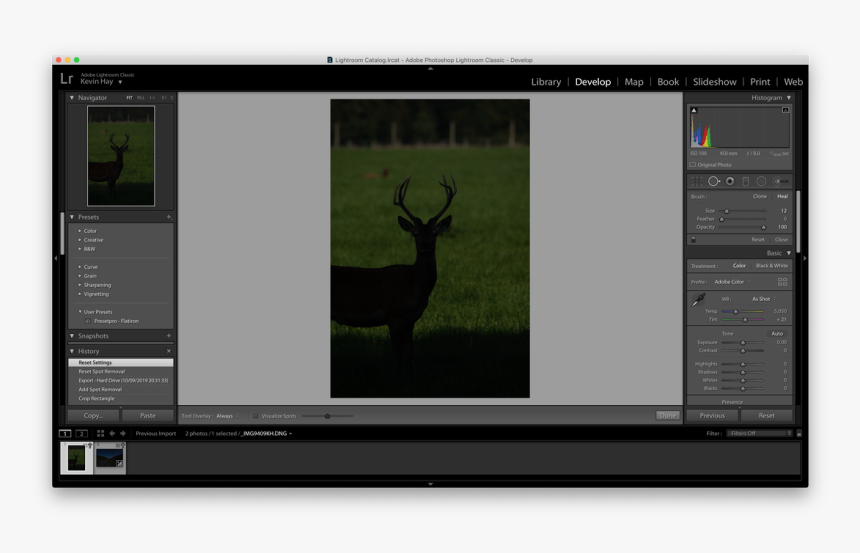 Picture, HD Png Download, Free Download