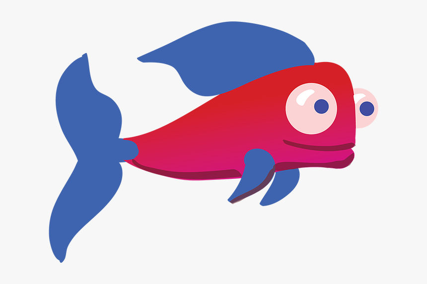 Pez Png, Transparent Png, Free Download