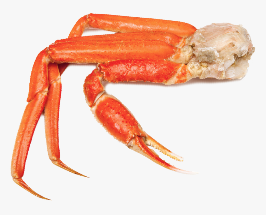 Crabs Png, Transparent Png, Free Download