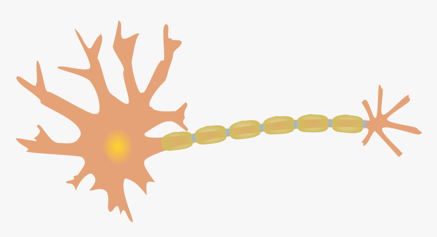 Single-neuron Clip Arts, HD Png Download, Free Download