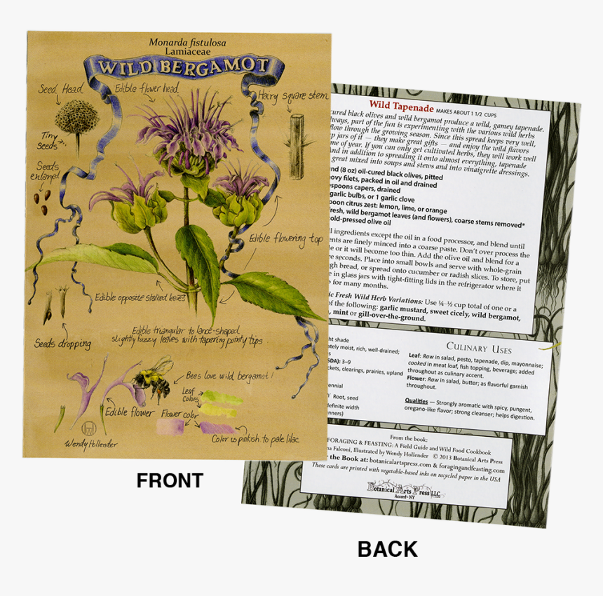 Plant Identification/recipe Note Card , Png Download, Transparent Png, Free Download