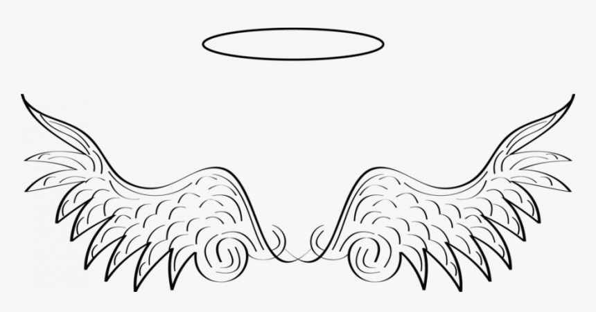 Drawings Of Dragon Wings Pencil Angel Drawing, HD Png Download, Free Download