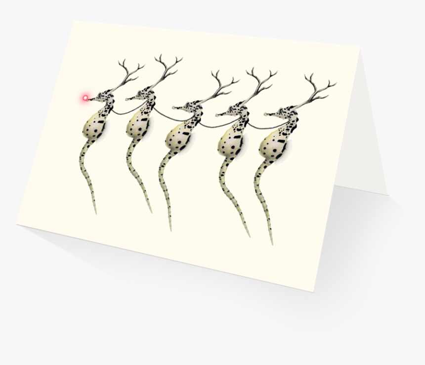 Santa"s Seahorses Holiday Card Boxed Set, HD Png Download, Free Download