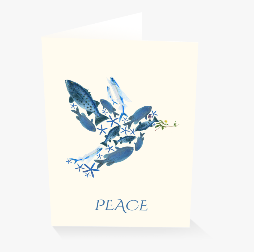 Fish Of Peace Holiday Card Boxed Set, HD Png Download, Free Download