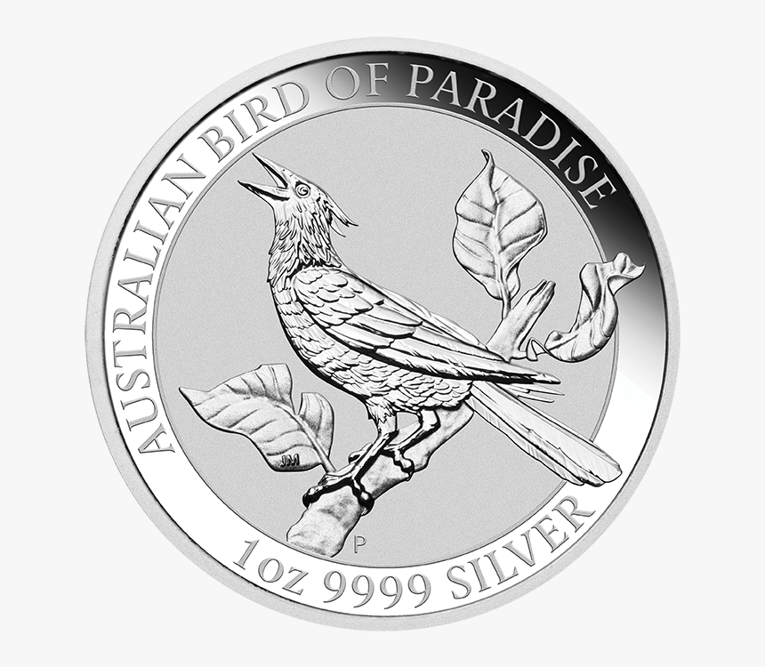 04 2019 Bird Of Paradise 1oz Silver Bullion Straighton, HD Png Download, Free Download