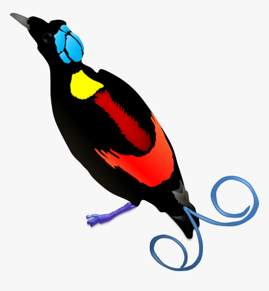 Clip Art Raggiana Bird Of Paradise, HD Png Download, Free Download