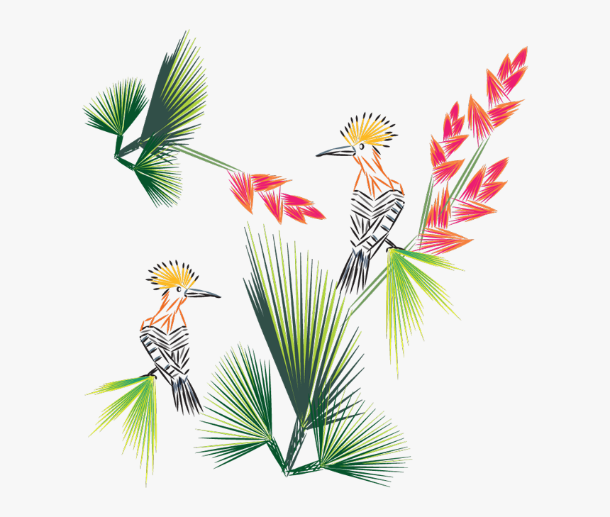 Bird Of Paradise Png, Transparent Png, Free Download