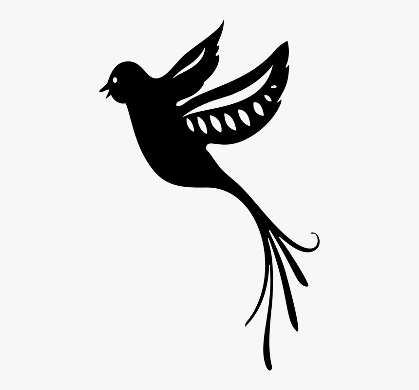 Bird, Silhouette, Animal, Fancy, Flying, Paradise, HD Png Download, Free Download