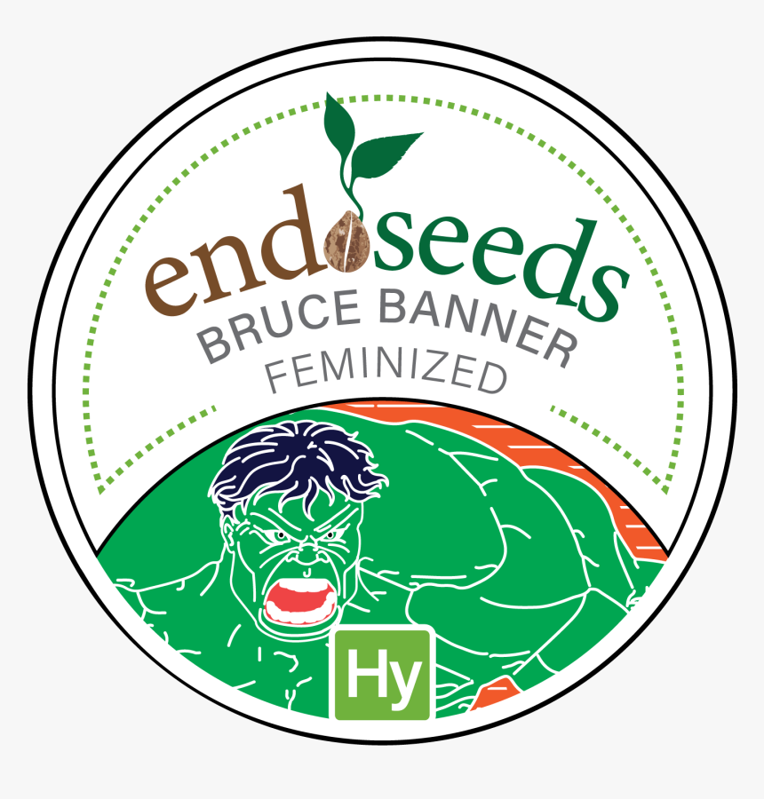 Buy Online Bruce Banner Feminized Seeds Endoseeds Canada, HD Png Download, Free Download