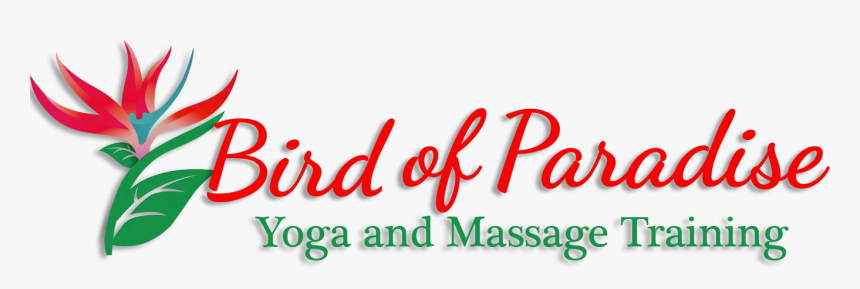 Bird Of Paradise Png, Transparent Png, Free Download